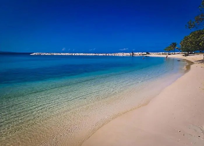 Appart hôtel Oceanfront Twin W/ Ocean Views Montego Bay